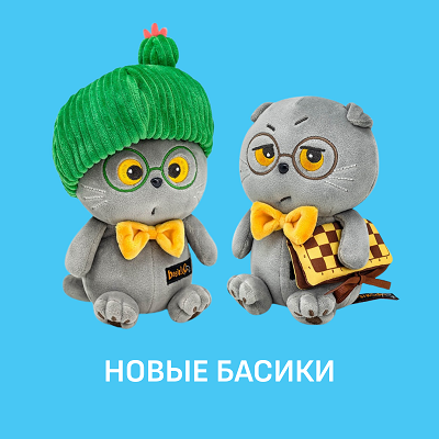 Новый Басики