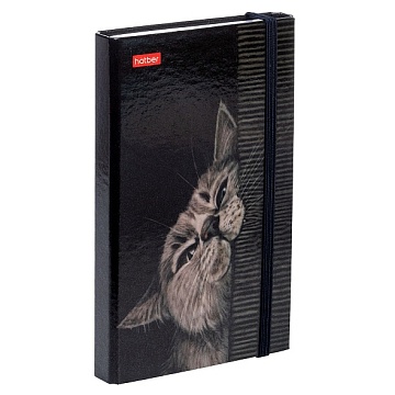 Записная книжка 80-50л А6ф е -Мур-Мяу- 089450
