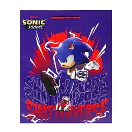 Пакет подарочный МАТОВЫЙ Sonic l 26*32*10 см ЧУДО ПРАЗДНИК 389910 
