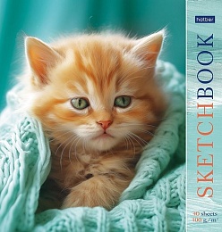 Скетчбук 40л 220х220мм без линовки 100г/кв.м -Котик в пледике- 087464