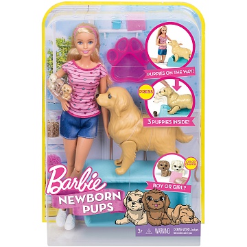 Barbie Игровой набор "Кукла и собака с новорожденными щенками FDD43--
