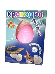 Домашний инкубатор, яйцо с растущим Крокодилом Т26779