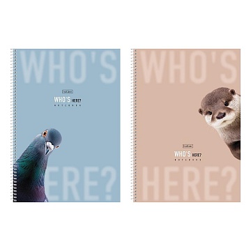 Тетрадь 96л А4ф клетка 60-65г/кв.м перфорация на отрыв на спирали серия  -Кто здесь? 093592