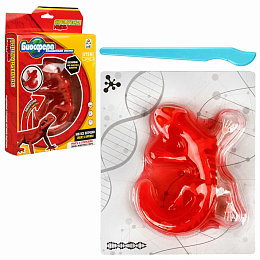 БИОсфера - познавательная анатомия, Набор Ящерица Т26724