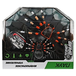 Паук 