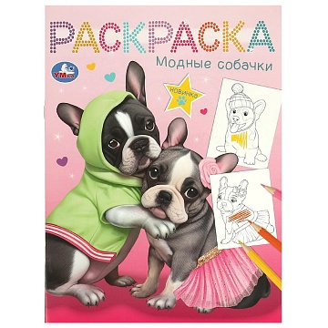 Модные собачки. Раскраска. 214х290 мм. Скрепка. 16 стр. 