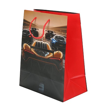 Пакет подарочный МАТОВЫЙ Спорткар  26х32 см 390068